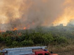 FOTO Gorjela velika površina, požar gasila 22 vatrogasca s područja Općine Orle