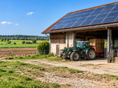 Za solarne elektrane u poljoprivredi osigurano 30 milijuna eura: Prijave počinju u studenome