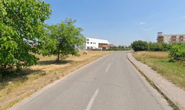 fausta vrančića