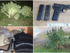 FOTO Uzgajao drogu u dva dvorišta u Velikoj Gorici: Policija oduzela dva kilograma marihuane, deset stabljika i pištolje