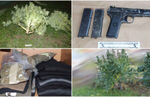 FOTO Uzgajao drogu u dva dvorišta u Velikoj Gorici: Policija oduzela dva kilograma marihuane, deset stabljika i pištolje