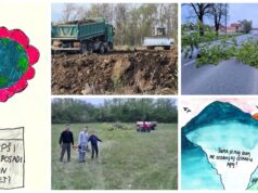 FOTO Od divljeg odlagališta do parka: Zelena akcija Mičevec pretvara 20.000m² šikare i otpada u mjesto za druženje i rekreaciju