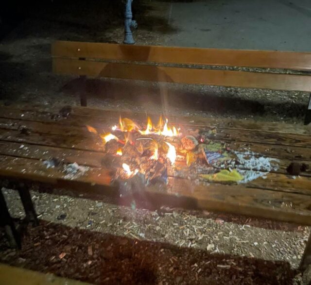 mlaka smeće (2)