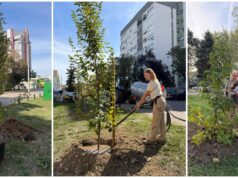 Još zelenija Velika Gorica: Posađeno pedesetak novih stabala